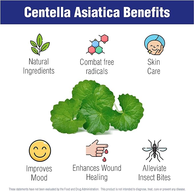 Centella Asiatica/Gotu Kola - 500 mg