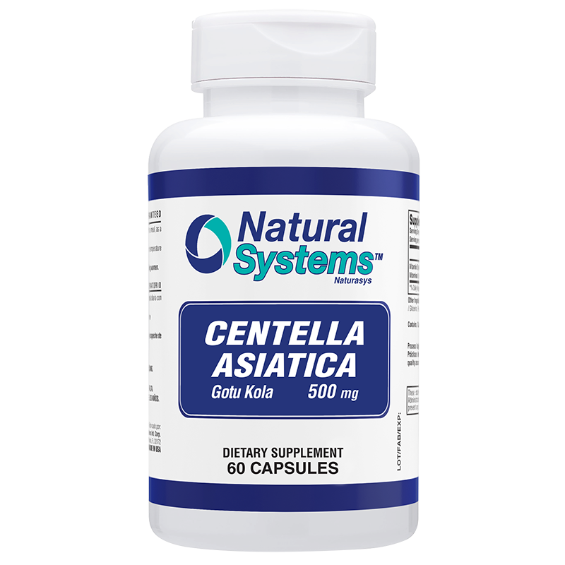 Centella Asiatica 500mg - 60 Capsules for Brain Health